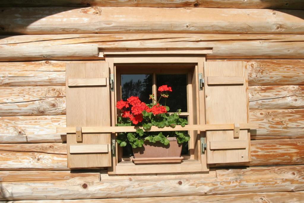 Ferienappartements Schrattengut Abtenau Εξωτερικό φωτογραφία
